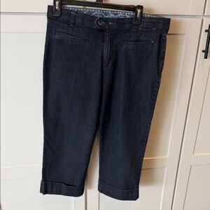 Bandolino Navy Printed Waistband Jeans